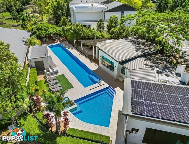 ID:21152995 310 Easthill Drive Robina QLD 4226