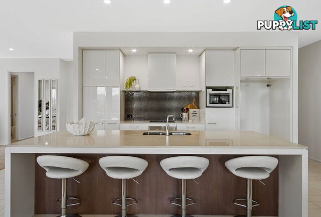 ID:21152995 310 Easthill Drive Robina QLD 4226