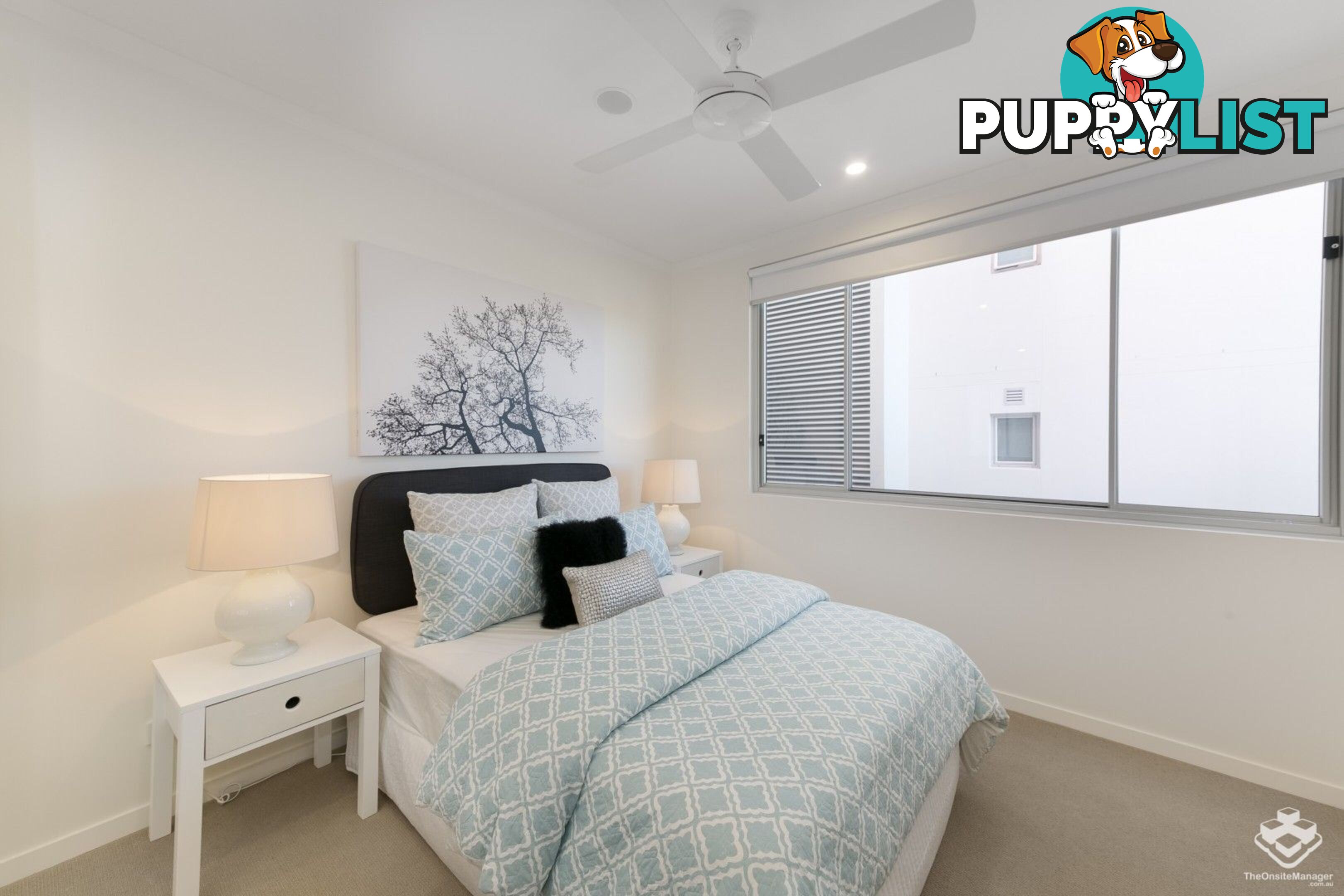 ID:21157307 986 Wynnum Road Cannon Hill QLD 4170