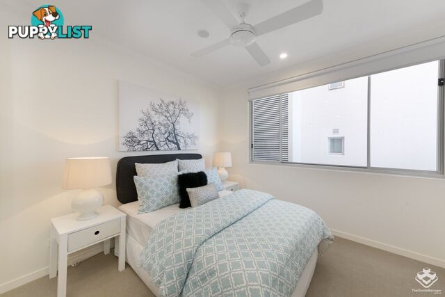 ID:21157307 986 Wynnum Road Cannon Hill QLD 4170