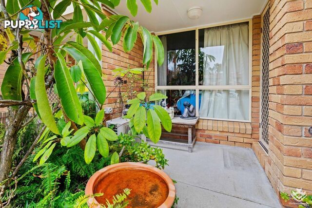 ID:21156226 9 Bayside Court Thorneside QLD 4158