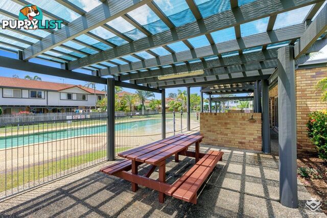 ID:21156226 9 Bayside Court Thorneside QLD 4158