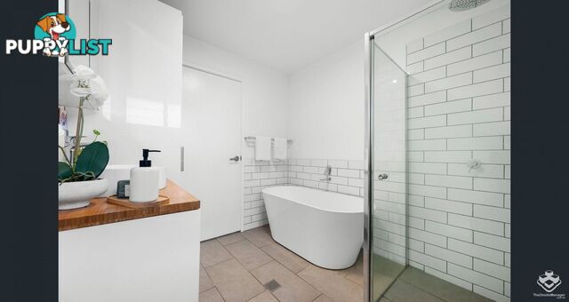 9 Tolson Street Upper Mount Gravatt QLD 4122