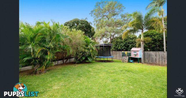 9 Tolson Street Upper Mount Gravatt QLD 4122