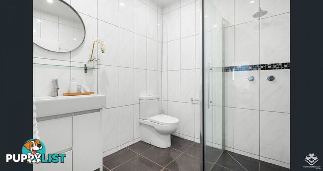 9 Tolson Street Upper Mount Gravatt QLD 4122