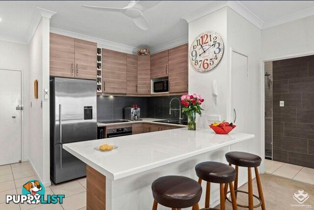 ID:21144604/9-11 Manning Street South Brisbane QLD 4101