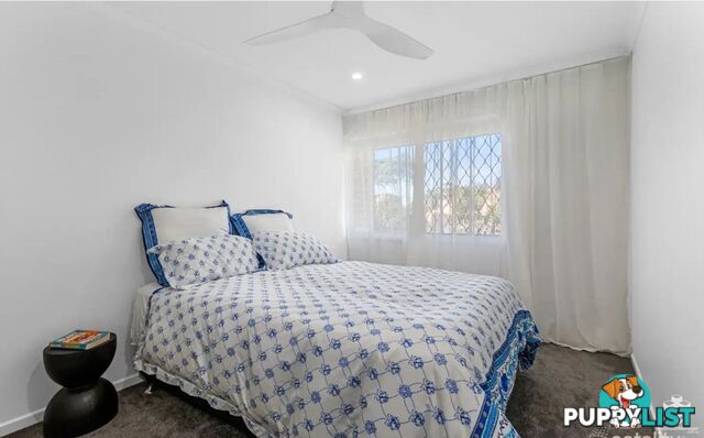 26 Vespa Crescent Surfers Paradise Qld 4217