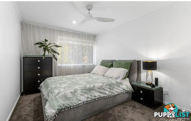 26 Vespa Crescent Surfers Paradise Qld 4217