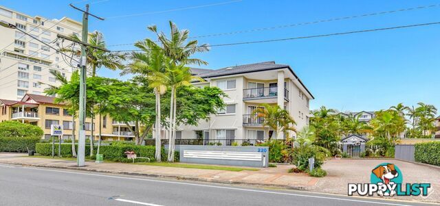 ID:21152862 220 Marine Parade Labrador QLD 4215