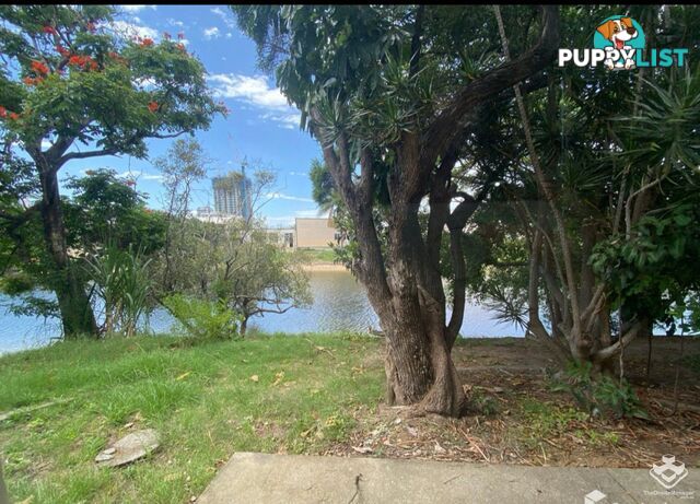 3/9 Orvieto Avenue Mermaid Waters QLD 4218