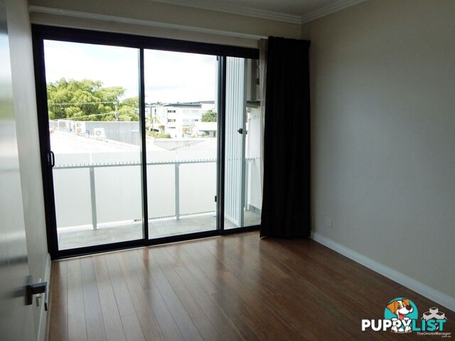 ID:3874654/38 Love Street Bulimba QLD 4171