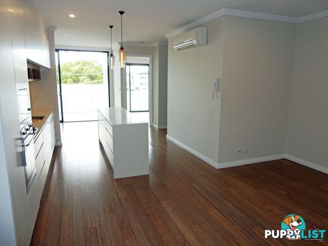 ID:3874654/38 Love Street Bulimba QLD 4171