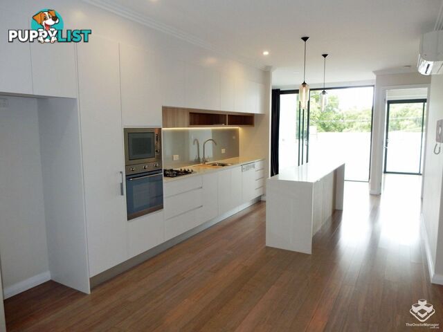 ID:3874654/38 Love Street Bulimba QLD 4171