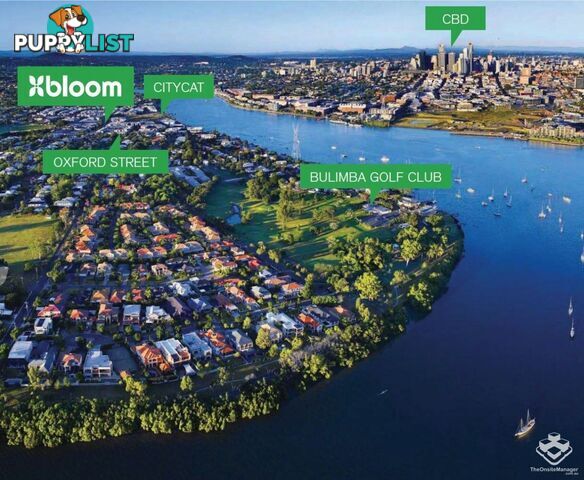 ID:3874654/38 Love Street Bulimba QLD 4171