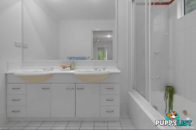 ID:21154493 206 Darcy Road D'Arcy Road Seven Hills QLD 4170
