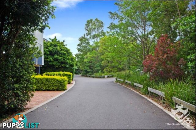ID:21154493 206 Darcy Road D'Arcy Road Seven Hills QLD 4170