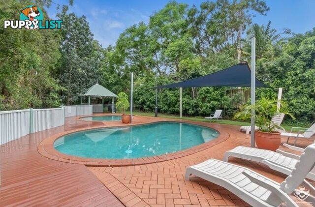 ID:21154493 206 Darcy Road D'Arcy Road Seven Hills QLD 4170