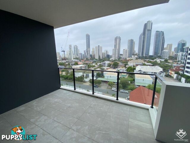 ID:21134857/256 Stanhill Drive Surfers Paradise QLD 4217