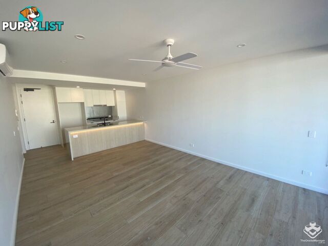 ID:21134857/256 Stanhill Drive Surfers Paradise QLD 4217