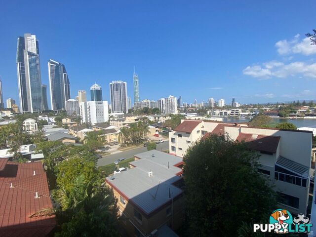 ID:21134857/256 Stanhill Drive Surfers Paradise QLD 4217