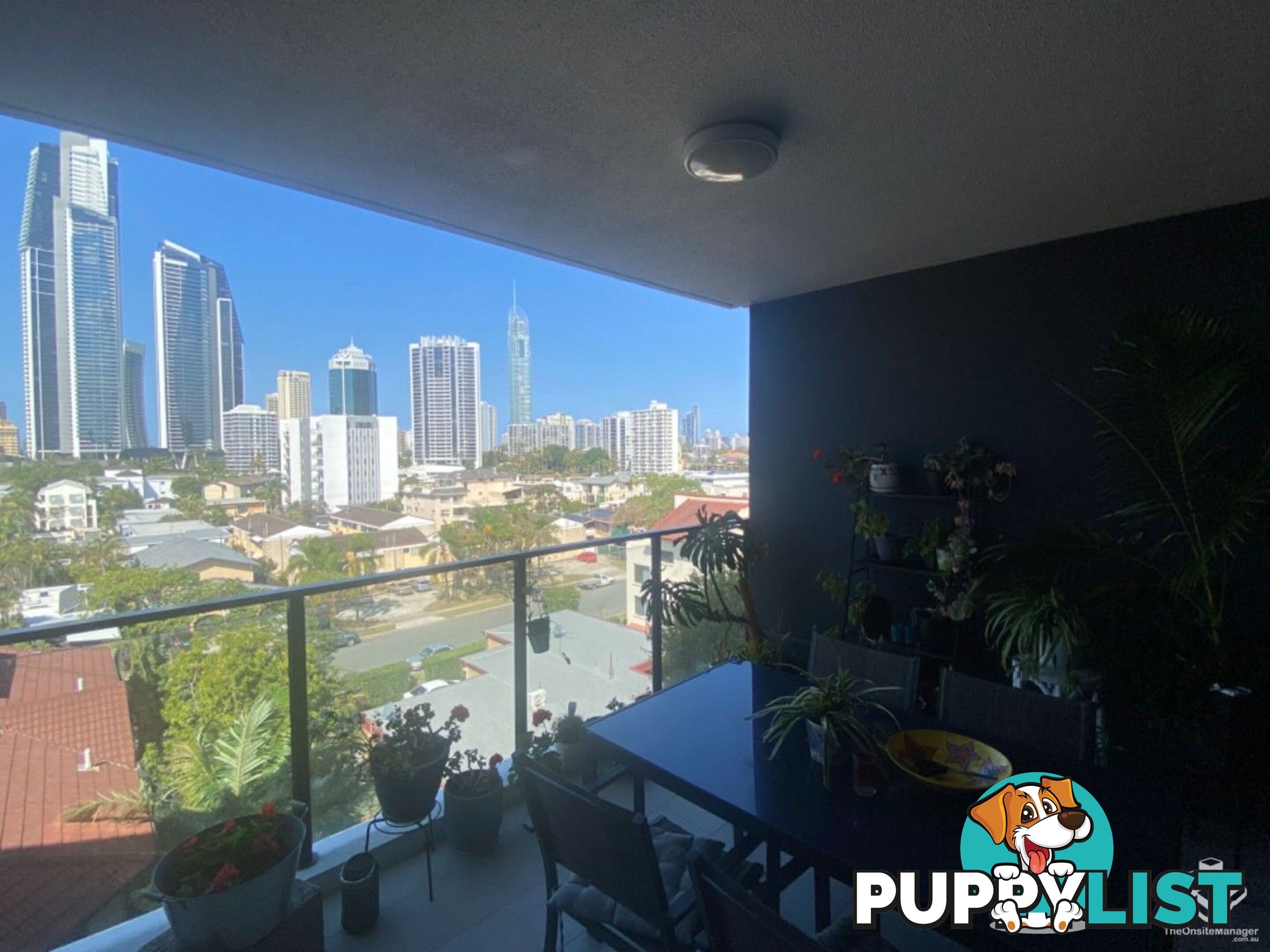 ID:21134857/256 Stanhill Drive Surfers Paradise QLD 4217