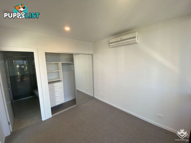 ID:21134857/256 Stanhill Drive Surfers Paradise QLD 4217