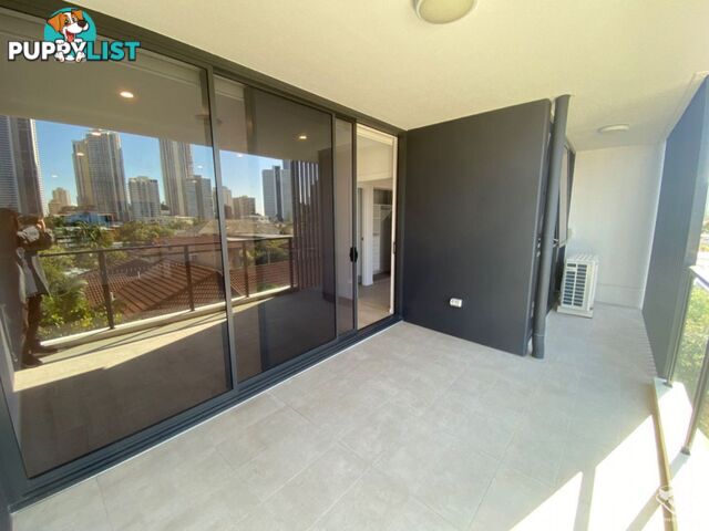 ID:21134857/256 Stanhill Drive Surfers Paradise QLD 4217