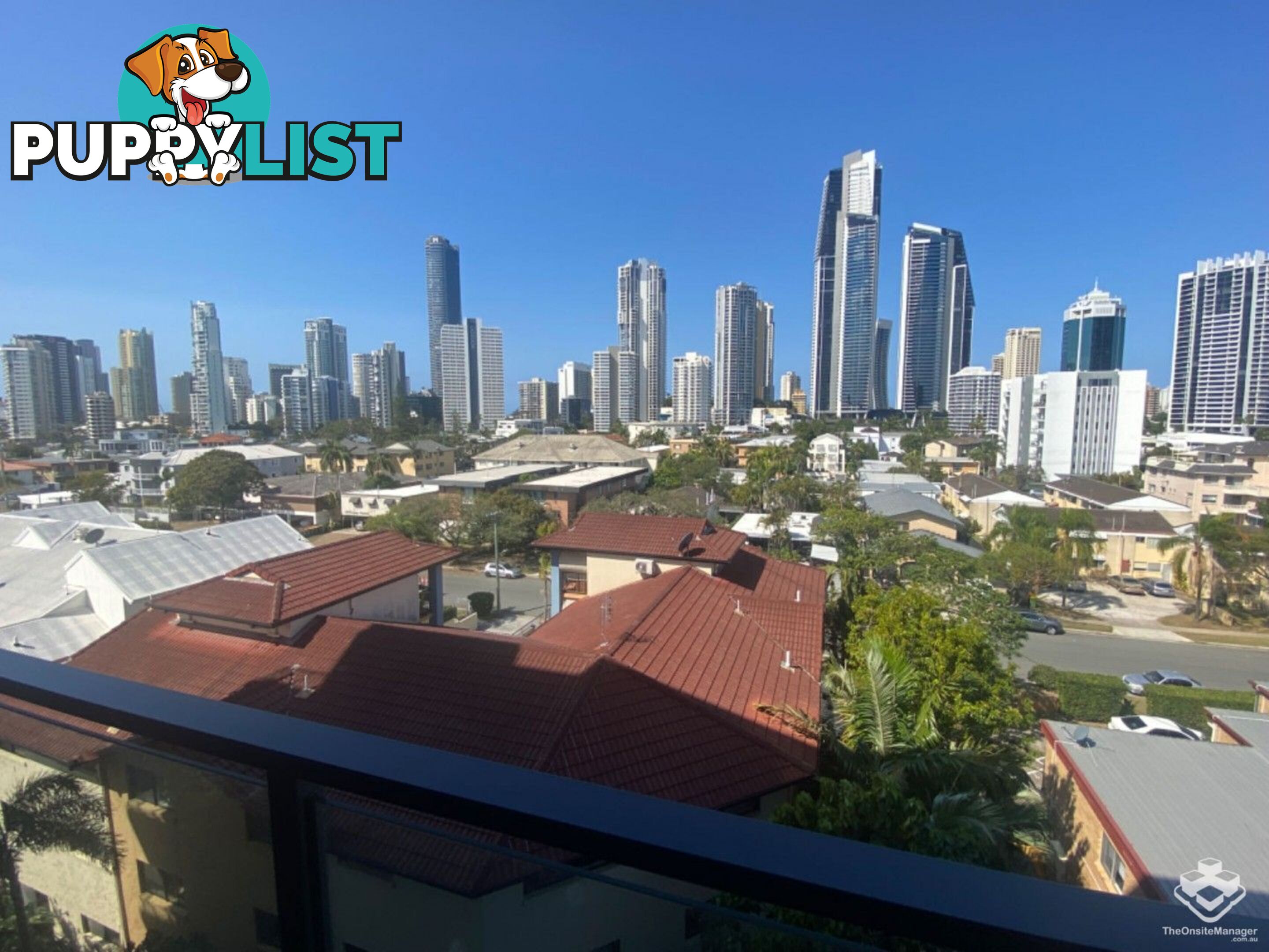 ID:21134857/256 Stanhill Drive Surfers Paradise QLD 4217