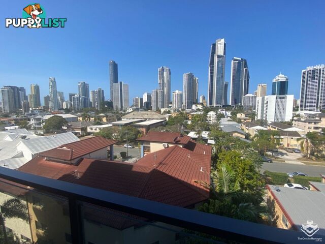 ID:21134857/256 Stanhill Drive Surfers Paradise QLD 4217