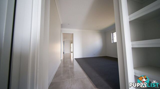 3 Woodrose Circuit Pimpama QLD 4209