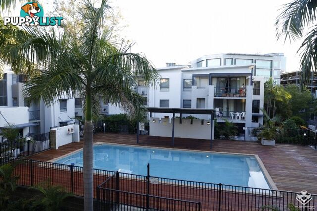 ID:21145176/7 Landsborough Terrace Toowong QLD 4066