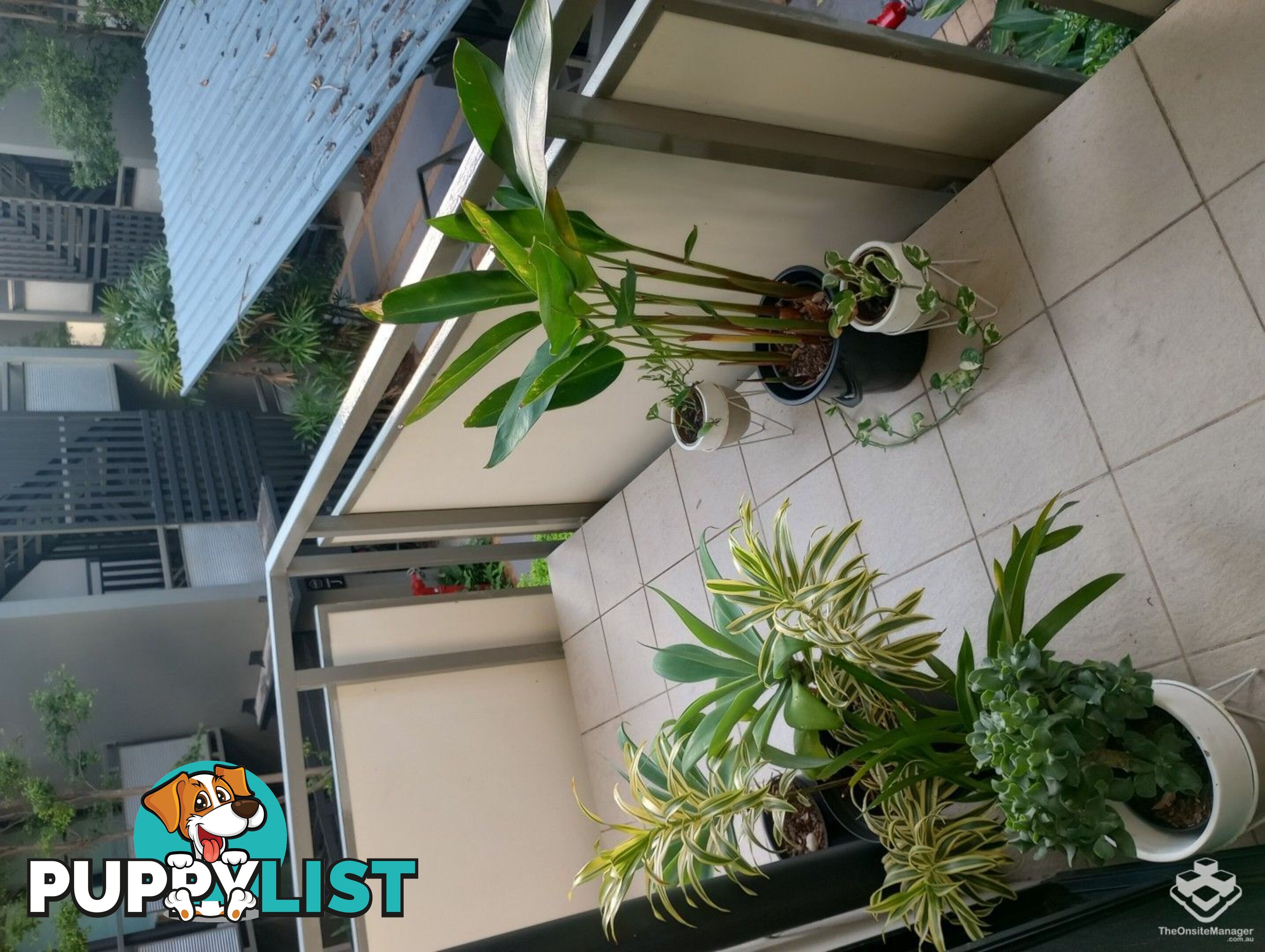 ID:21148294 139 Commercial Road Teneriffe QLD 4005