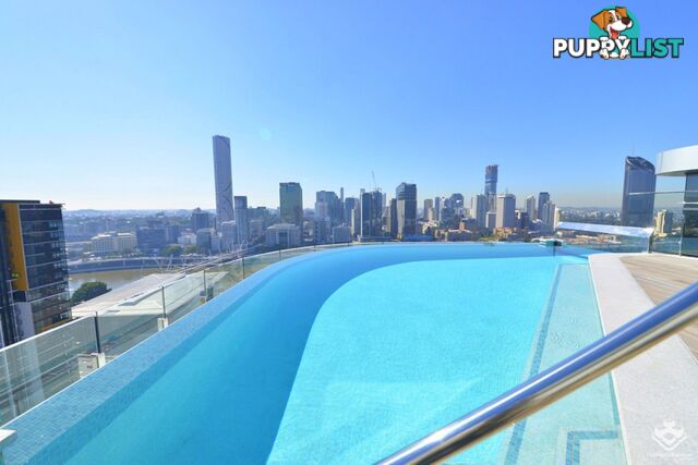 2163/38 Hope Street South Brisbane QLD 4101