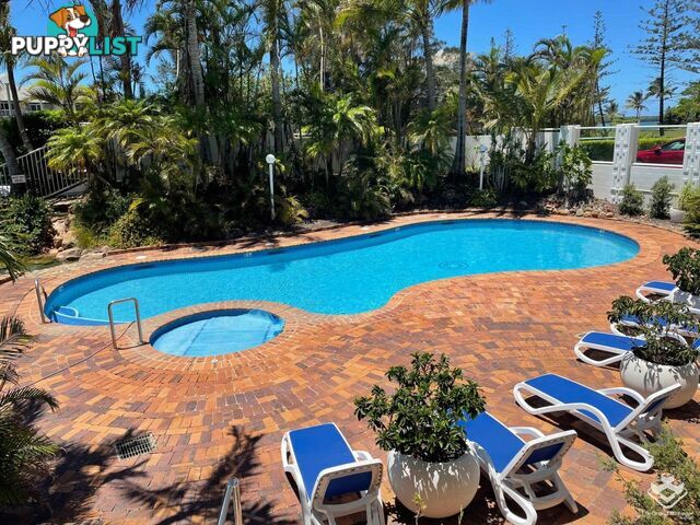 ID:21157475 7 Oatland Esplanade Runaway Bay QLD 4216