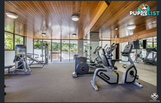 ID:21157475 7 Oatland Esplanade Runaway Bay QLD 4216