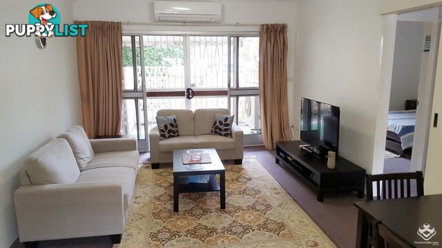 ID:21152871 149 Clarence Road Indooroopilly QLD 4068