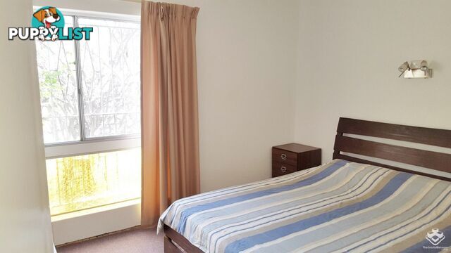 ID:21152871 149 Clarence Road Indooroopilly QLD 4068