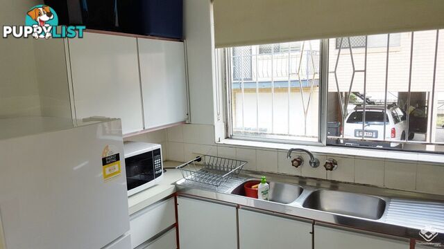 ID:21152871 149 Clarence Road Indooroopilly QLD 4068
