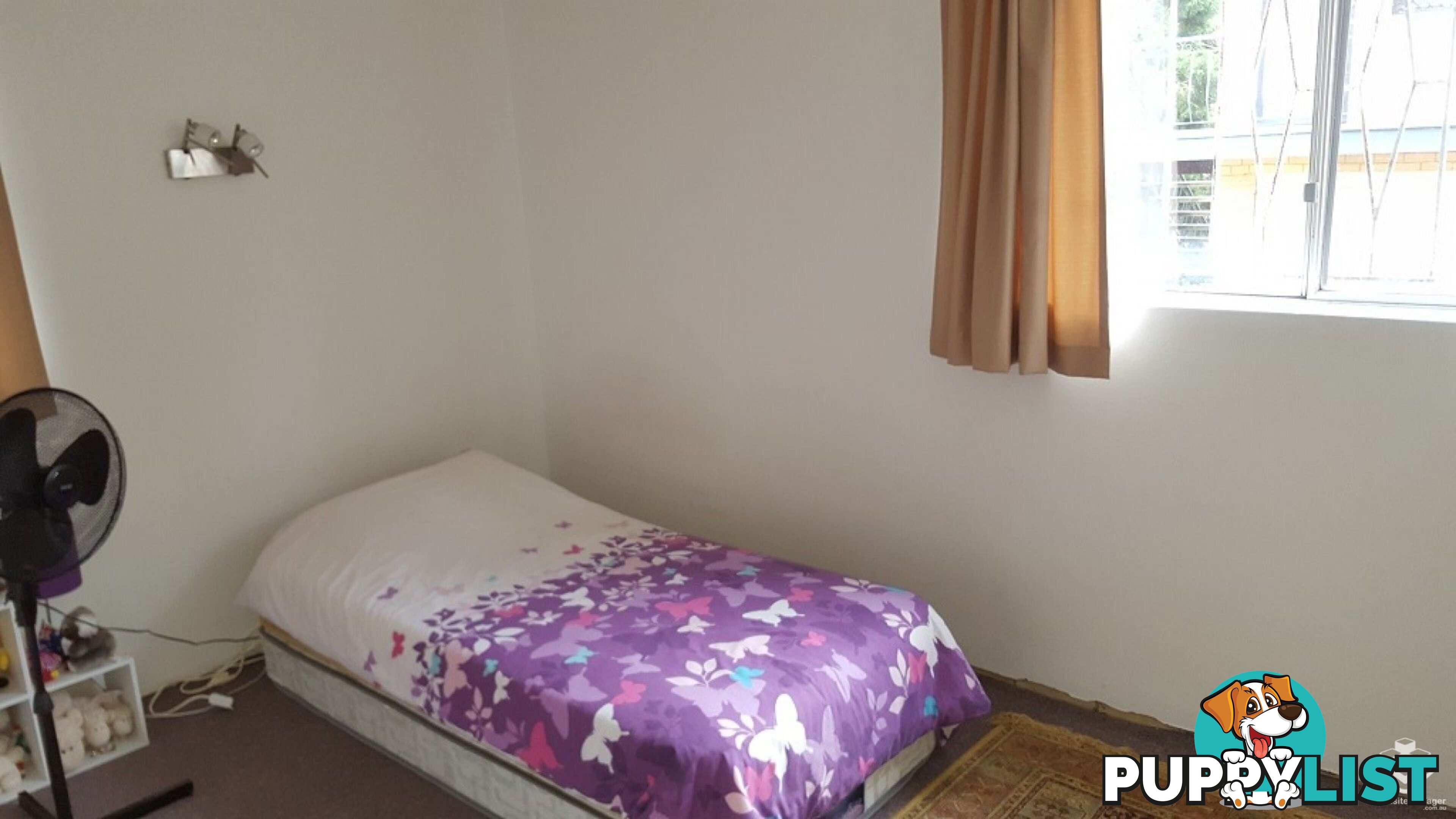 ID:21152871 149 Clarence Road Indooroopilly QLD 4068