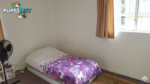 ID:21152871 149 Clarence Road Indooroopilly QLD 4068