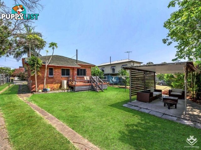 77 Gatling Road Cannon Hill QLD 4170