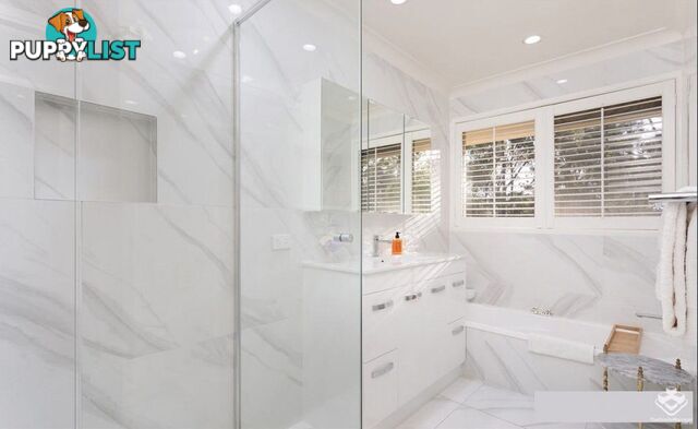 2 Dillingen Street Chapel Hill QLD 4069