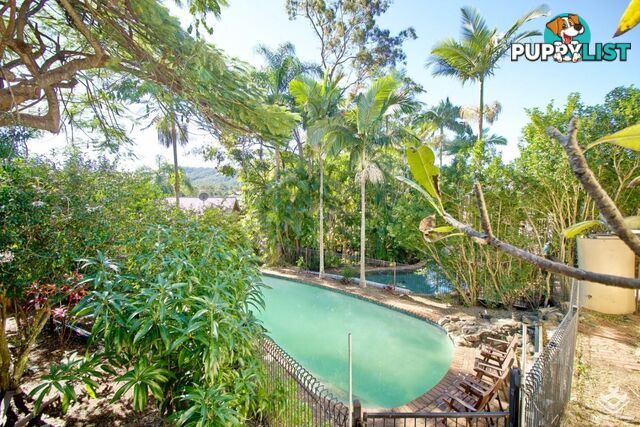 2 Dillingen Street Chapel Hill QLD 4069