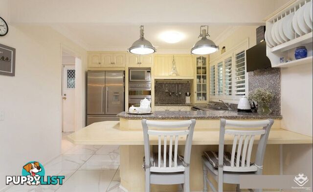 2 Dillingen Street Chapel Hill QLD 4069