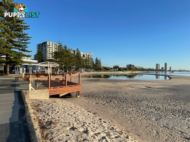 ID:21145265/38-40 Labrador Street Labrador QLD 4215