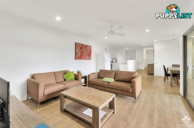 14 Kingsley Parade Yeronga QLD 4104