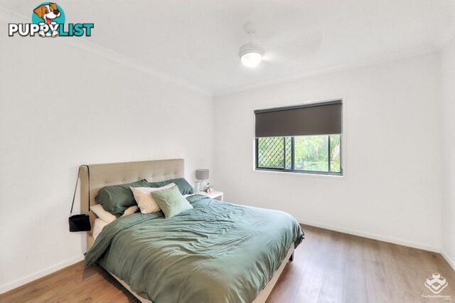 14 Kingsley Parade Yeronga QLD 4104