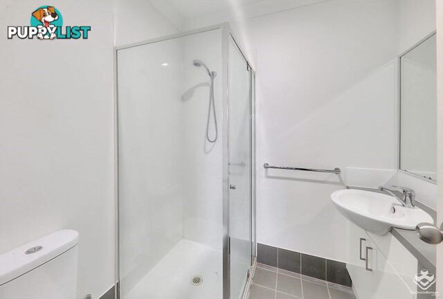 14 Kingsley Parade Yeronga QLD 4104