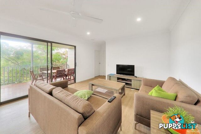 14 Kingsley Parade Yeronga QLD 4104