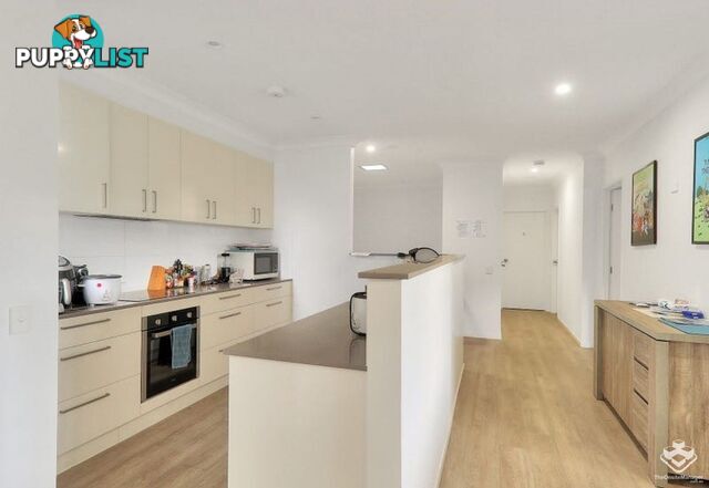 14 Kingsley Parade Yeronga QLD 4104